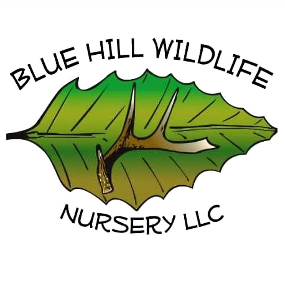 Blue Hill Wildlife Nursery