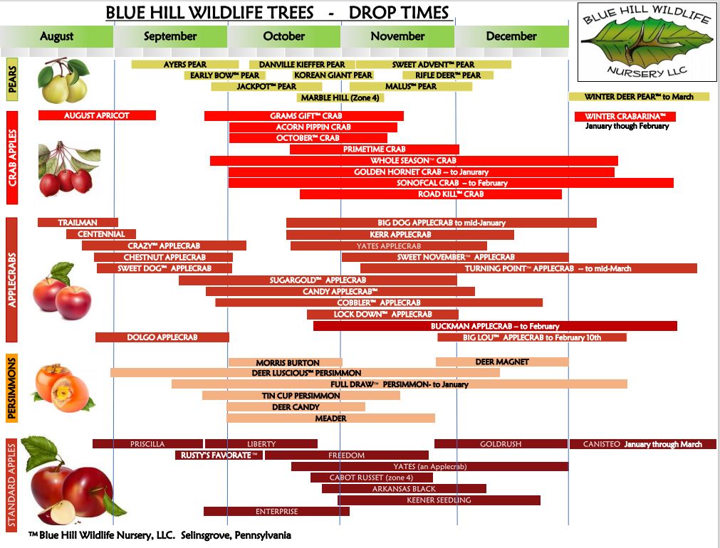 Drop Time Chart Blue Hill Wildlife Nursery Fruit Maturity Chart